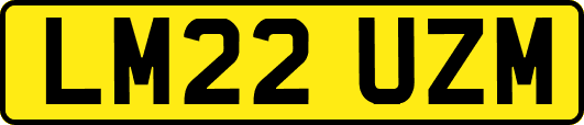 LM22UZM
