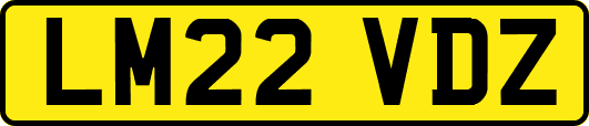 LM22VDZ
