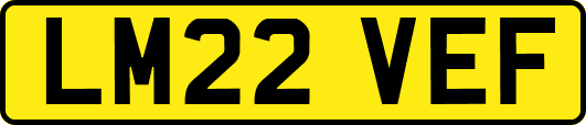 LM22VEF