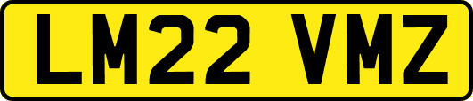 LM22VMZ