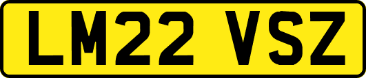 LM22VSZ