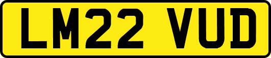 LM22VUD