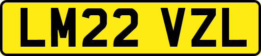 LM22VZL