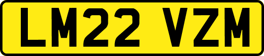 LM22VZM