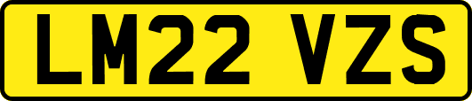 LM22VZS