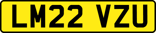 LM22VZU
