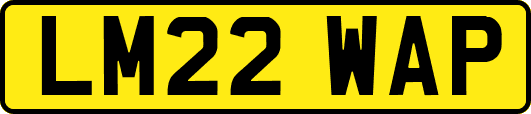 LM22WAP