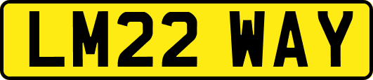 LM22WAY