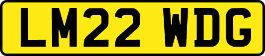 LM22WDG