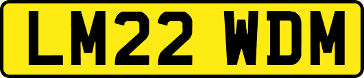 LM22WDM