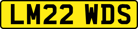 LM22WDS