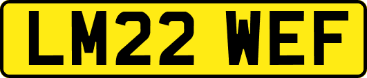 LM22WEF