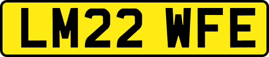 LM22WFE