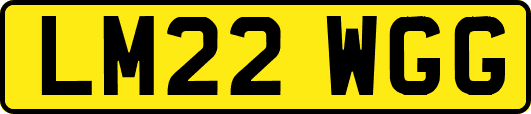 LM22WGG