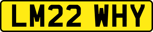 LM22WHY
