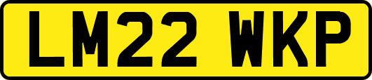 LM22WKP