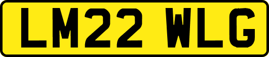 LM22WLG