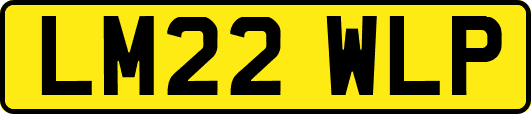 LM22WLP