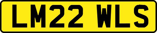 LM22WLS