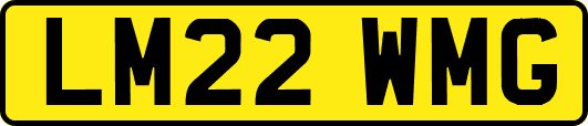 LM22WMG