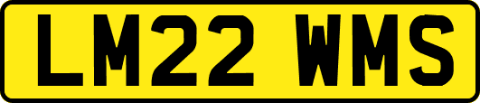 LM22WMS