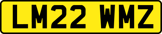 LM22WMZ