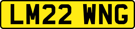 LM22WNG