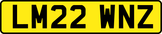 LM22WNZ