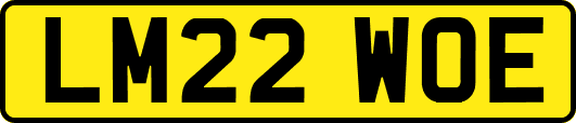 LM22WOE