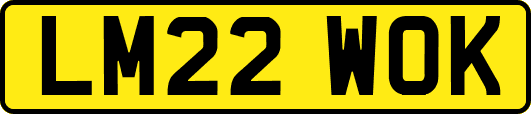 LM22WOK