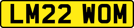 LM22WOM