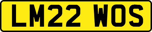LM22WOS