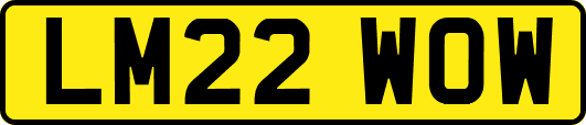 LM22WOW