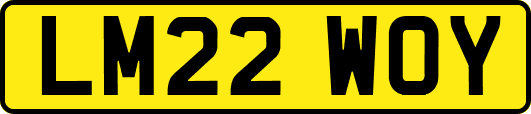 LM22WOY