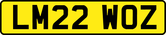 LM22WOZ