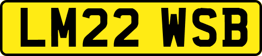 LM22WSB