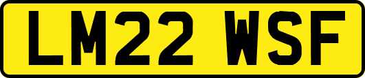 LM22WSF