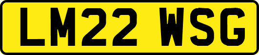 LM22WSG