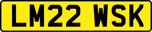 LM22WSK