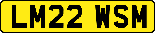 LM22WSM