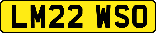 LM22WSO