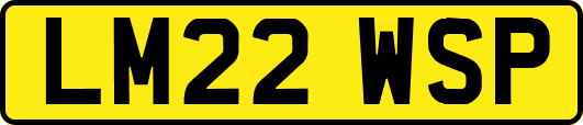 LM22WSP