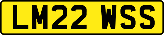 LM22WSS