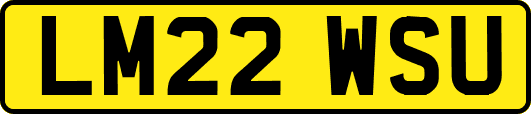 LM22WSU