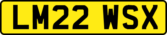LM22WSX