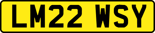 LM22WSY