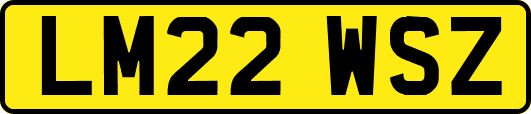 LM22WSZ