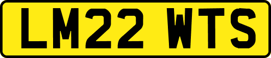 LM22WTS