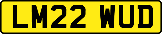 LM22WUD