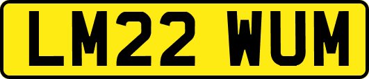 LM22WUM